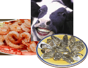 Terra Rubra Bull, Oyster & Shrimp Feed